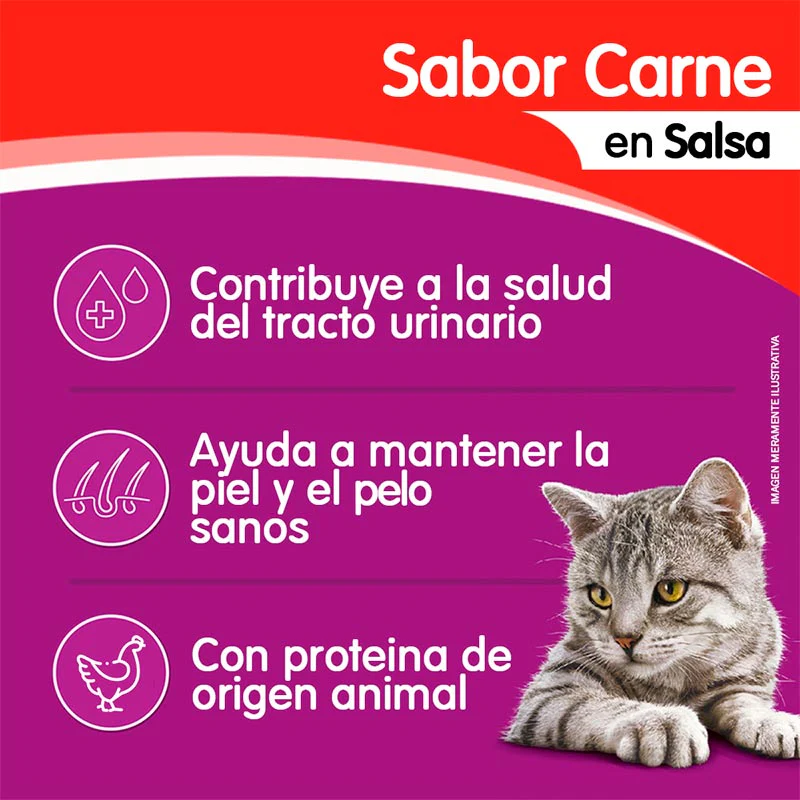 Sobre Carne en salsa Whiskas Alimento Húmedo - Gato Adulto - Imagen 3