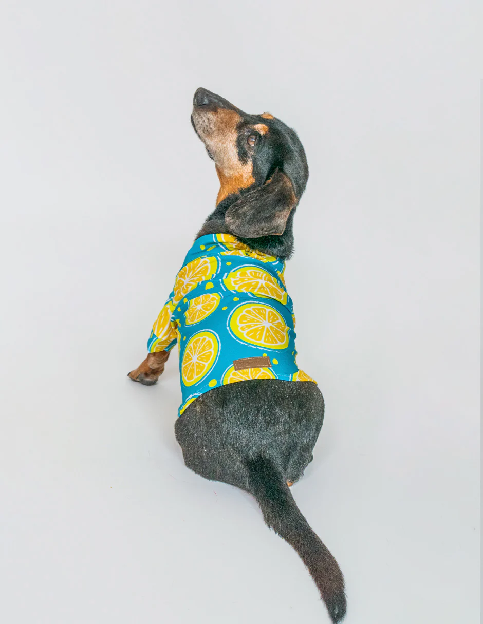 LEMON SQUEEZE | Camisas - Imagen 4